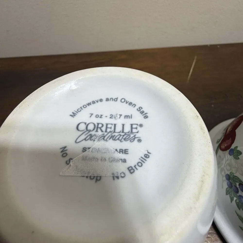Corelle coordinates chutney